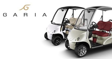 Read more about the article GARIA